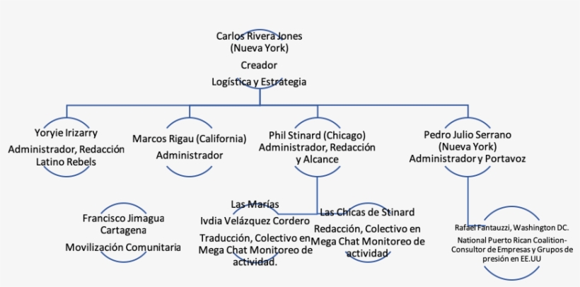 Free La Comay En Vivo 2019 - Diagram, transparent png