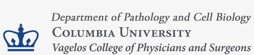Cumcpath Logo Taub Logo - Printing, transparent png