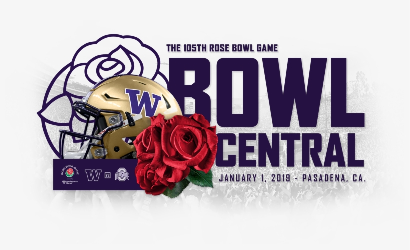 95973 - Garden Roses, transparent png