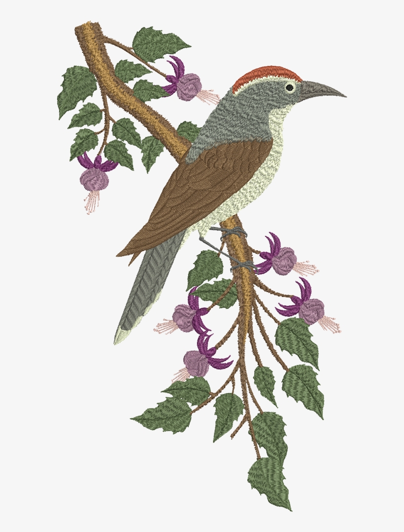Chestnut Crowned Babbler Web, transparent png
