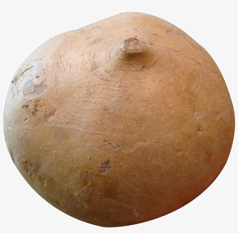 Jicama Png Image - Jicama Vegetable Png, transparent png