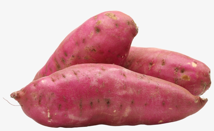 Sweet Potato, transparent png