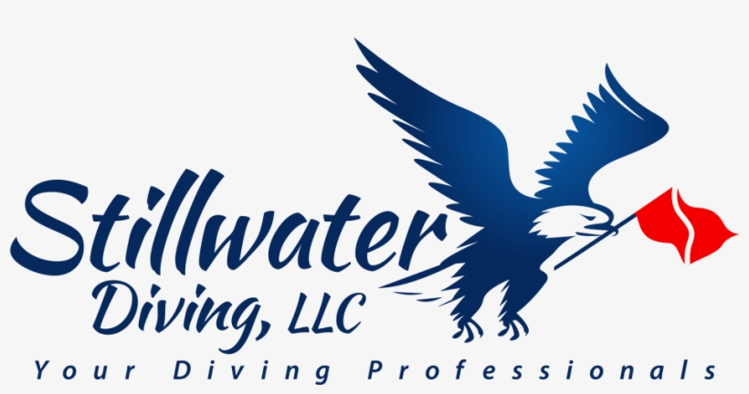 At Stillwater Diving Llc, Ordinary People Like You - Bird Of Prey, transparent png