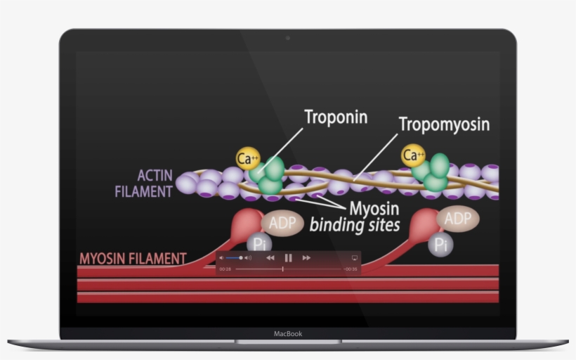 Discover New Ways To Learn - Led-backlit Lcd Display, transparent png