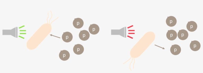 Since We Want It To Work Periodically In Order To Control - Ice Cream Bar, transparent png