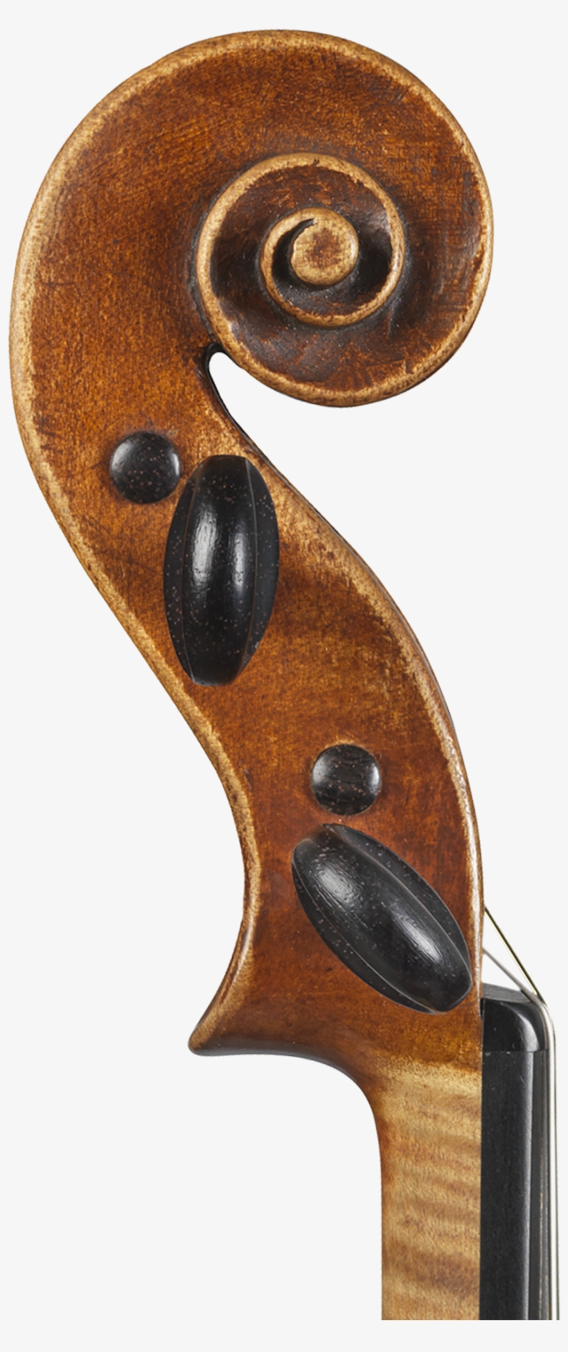 1 - Viola, transparent png