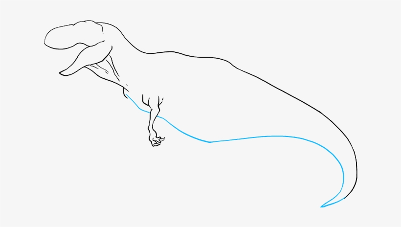 How To Draw Tyrannosaurus Rex - Sketch, transparent png