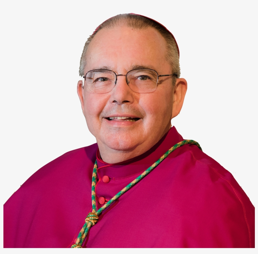 Pope Francis Names Bishop David P, transparent png