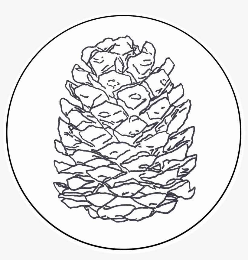 Line Art, transparent png