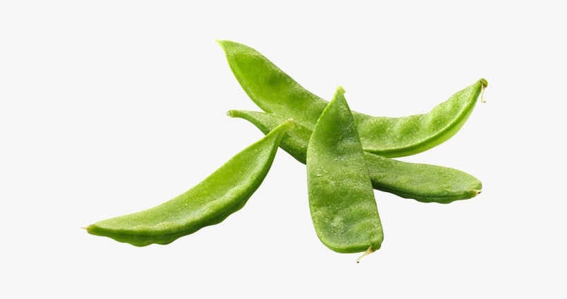 Pea Png Free Image - Snap Pea, transparent png