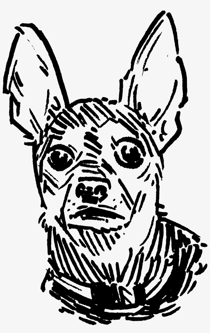 Sketch, transparent png