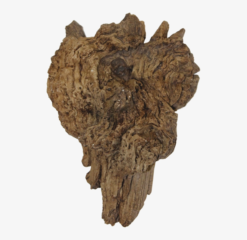 Wood, transparent png