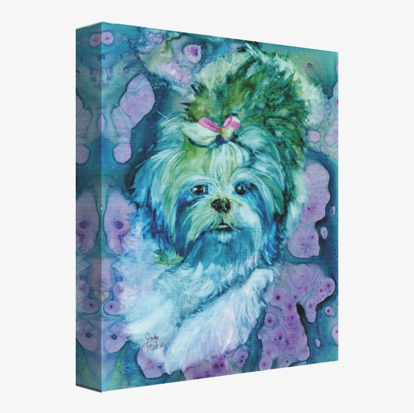 Categories - Maltese, transparent png