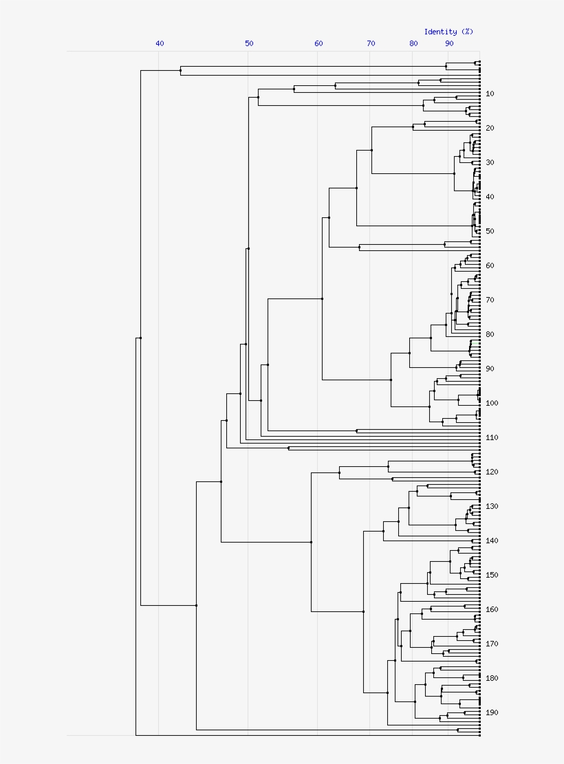 Tree For Family M26 - Diagram, transparent png
