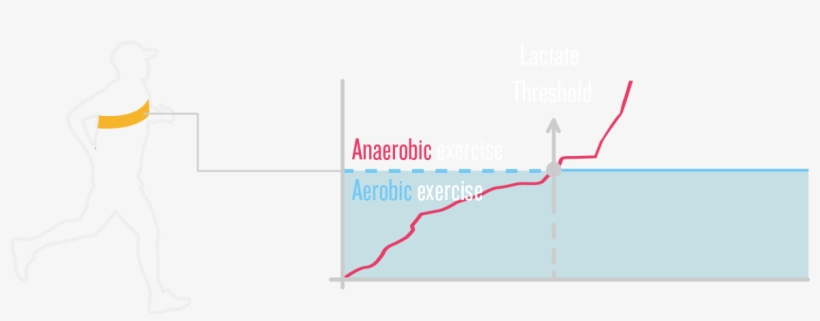 Recommended Pace T And Heart Rate T Can Directly Apply - Diagram, transparent png