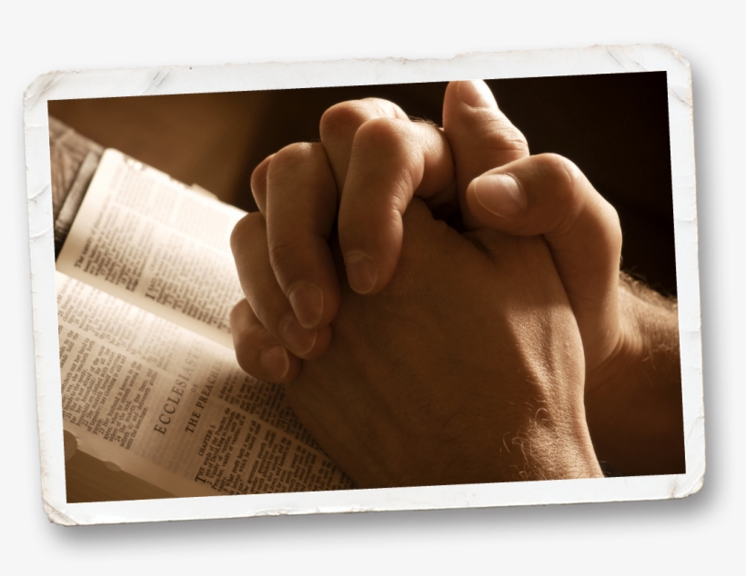 Make A Donation - Open Heart Bible, transparent png
