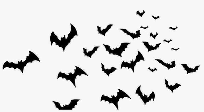 #ftestickers #bat #silhouette #bats #halloween - Stencil Owl On Branch, transparent png