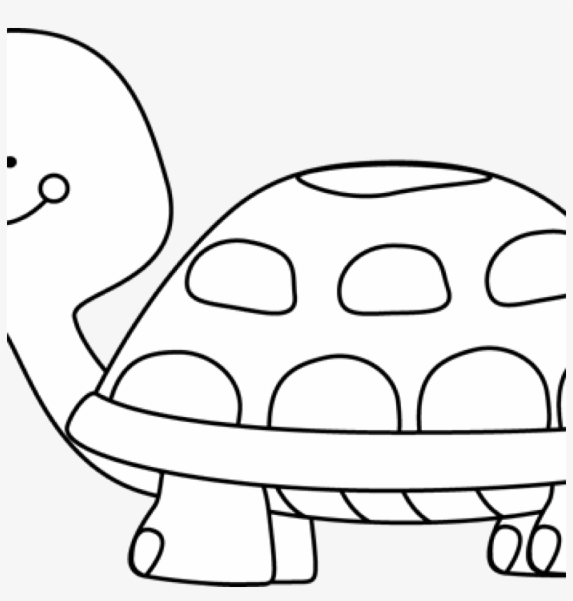 1024 X 1024 0 - Tortoise Clip Art Black And White, transparent png