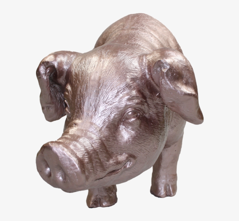 Piglet - Hippopotamus, transparent png