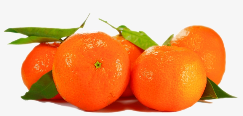 Orange, Isolated, Fruit, Plant, Nature, Close - Clementine Png, transparent png