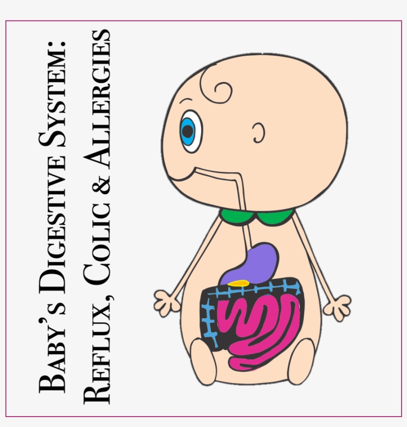Baby's Digestive System & Reflux - Cartoon, transparent png