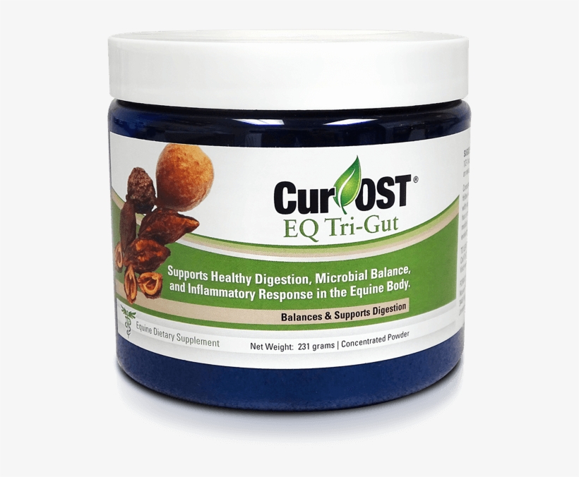 Fig, transparent png