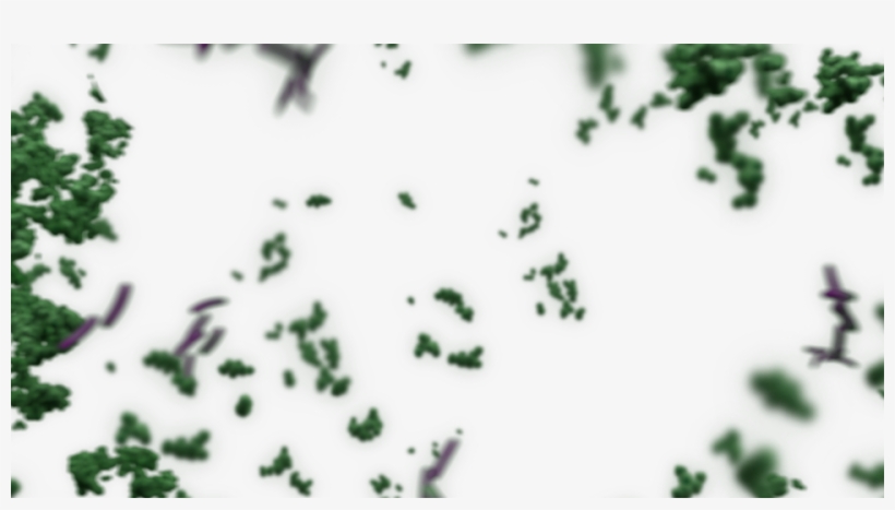 Start Exploring Rumen Development - Christmas Tree, transparent png