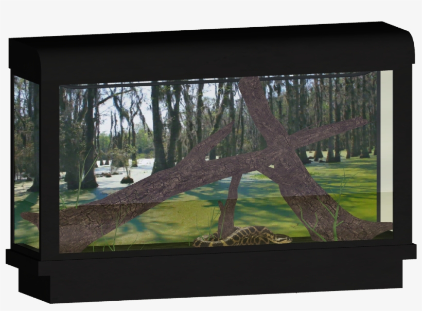 Yellow Anaconda - Zoo Tycoon 2 Terrariums, transparent png