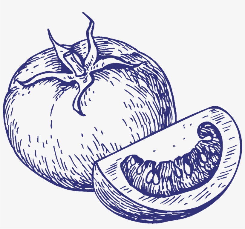 Frutas Y Verduras - Sauce Drawing, transparent png