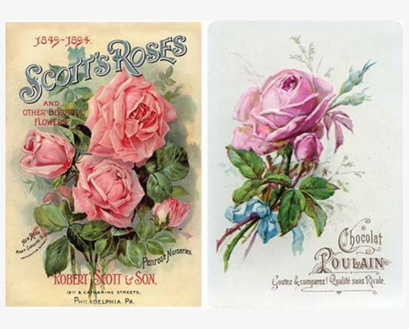 Decoupage Rice Paper A3 - Scotts Roses, transparent png