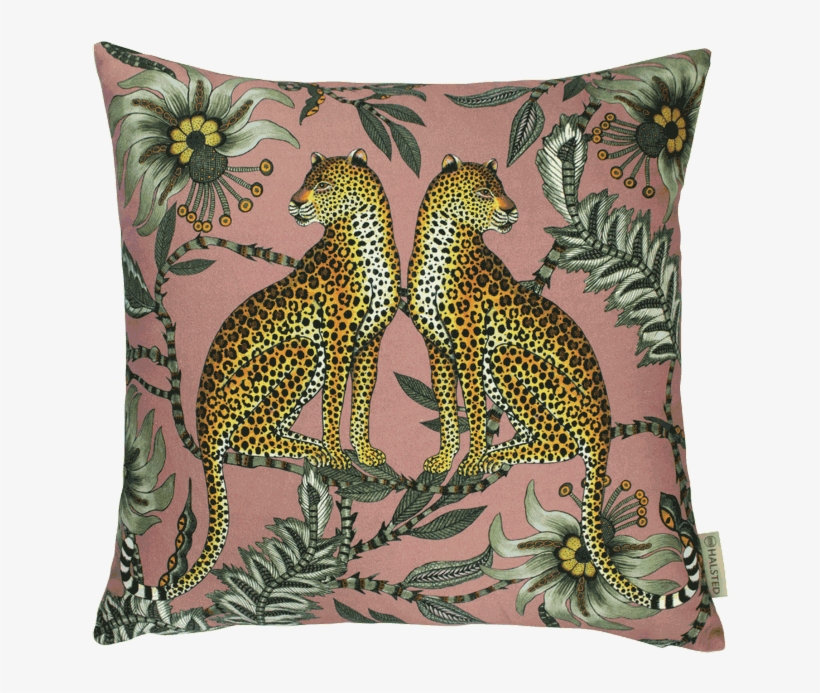 Cushion, transparent png