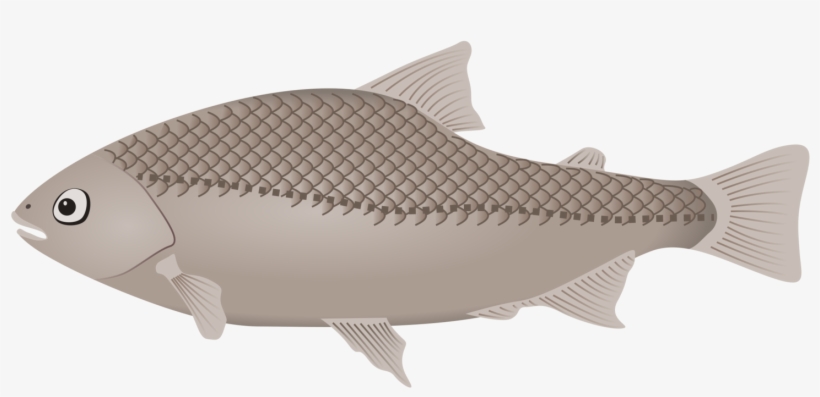 Fishing Vertebrate Siamese Fighting Fish Computer Icons - Clip Art, transparent png