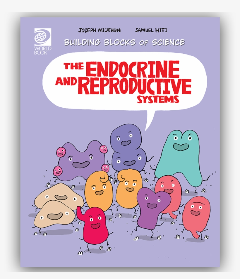 Home > Single Books > Ages - Reproductive System Cartoon, transparent png