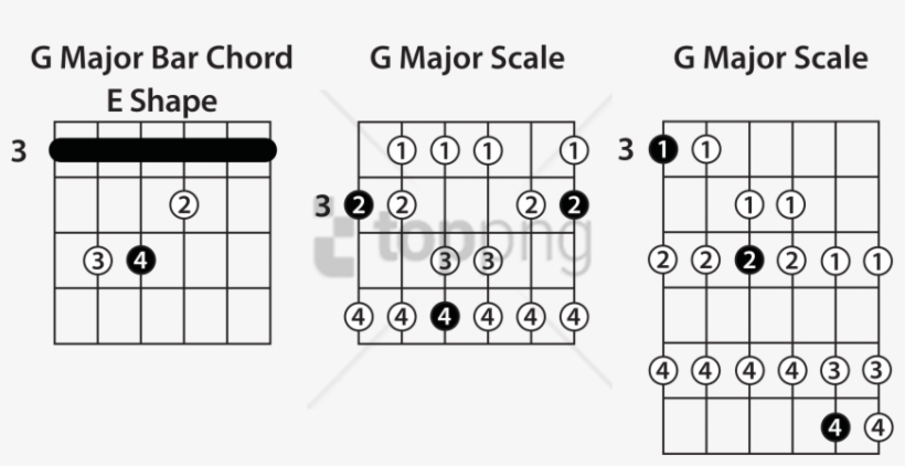 Free Png Download Diagram Png Images Background Png - Scale Guitar, transparent png