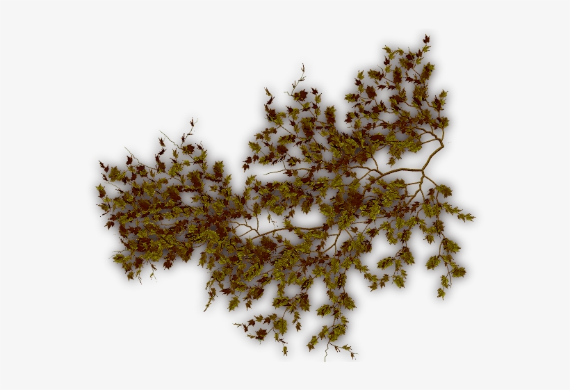 Creepers Dry-f - Portable Network Graphics, transparent png