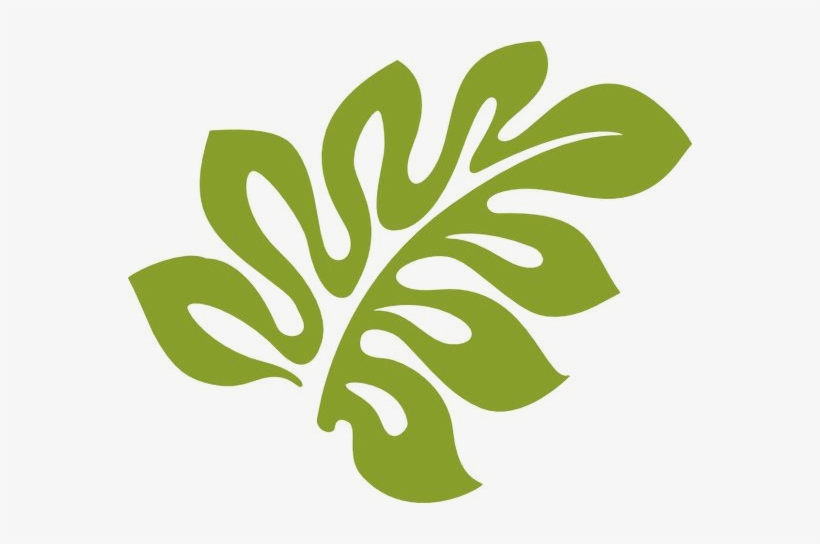 Vector Leaf Transparent - Hibiscus Clip Art, transparent png
