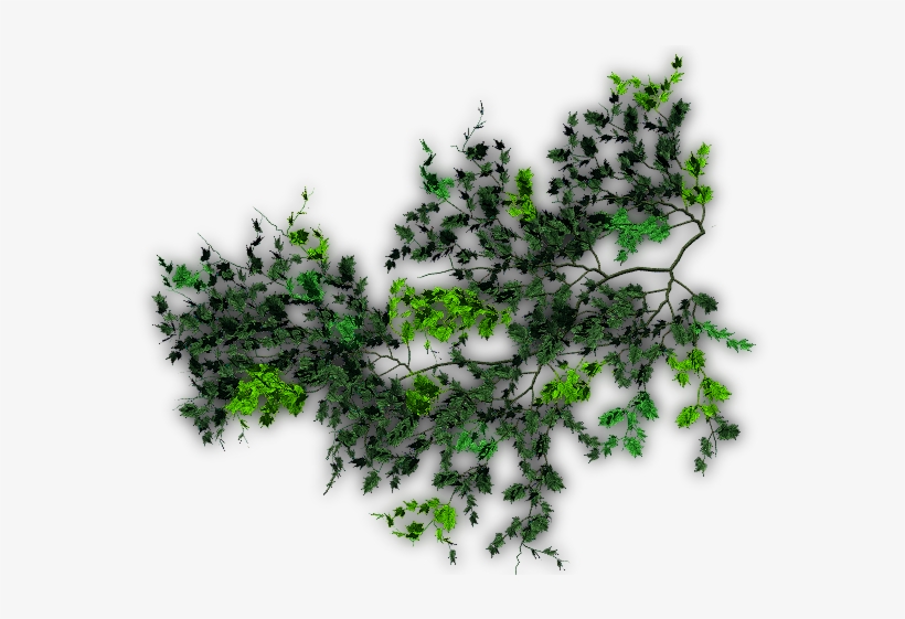 06 Feb 2009 - Creepers Png For Photoshop, transparent png