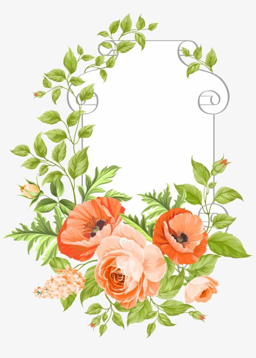 File - Hybrid Tea Rose, transparent png