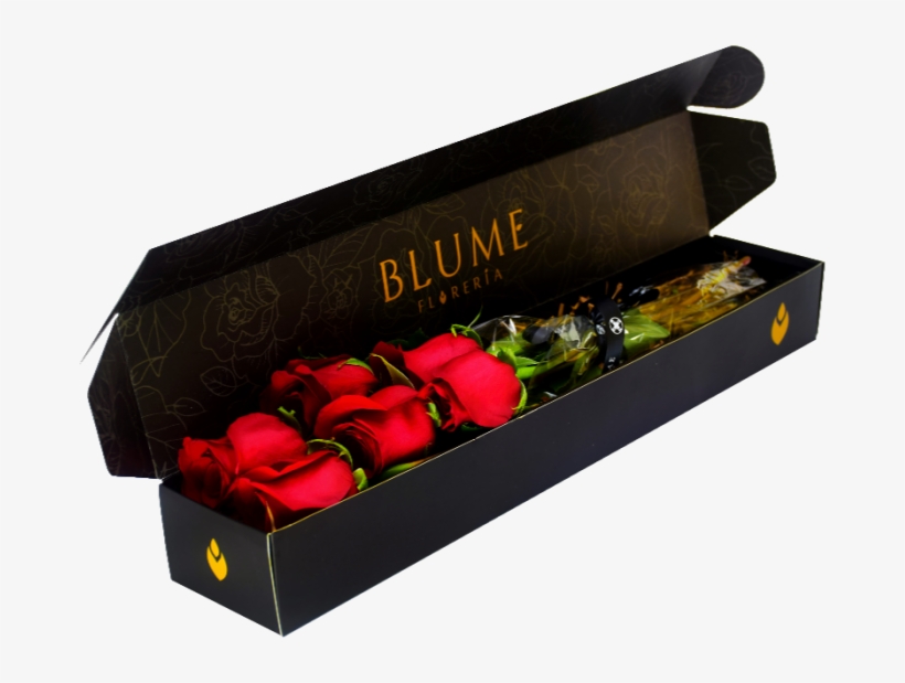 Caja De 6 Rosas Rojas - Floral Design, transparent png