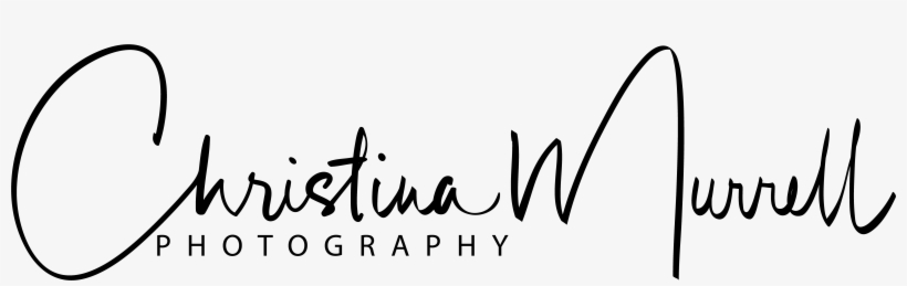 Engaged Under The Christmas Lights - Calligraphy, transparent png