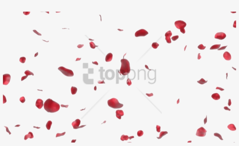 Free Png Rose Petals Transparent Png Image With Transparent - Rose Petals Transparent Png, transparent png