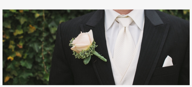 Galateo Il Papà Della Sposa, transparent png