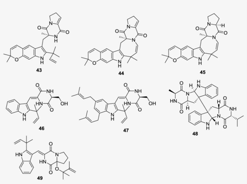 Structures Of 2,5 Dkps From Marine Derived Fungi Of - Endophytic Metabolites, transparent png