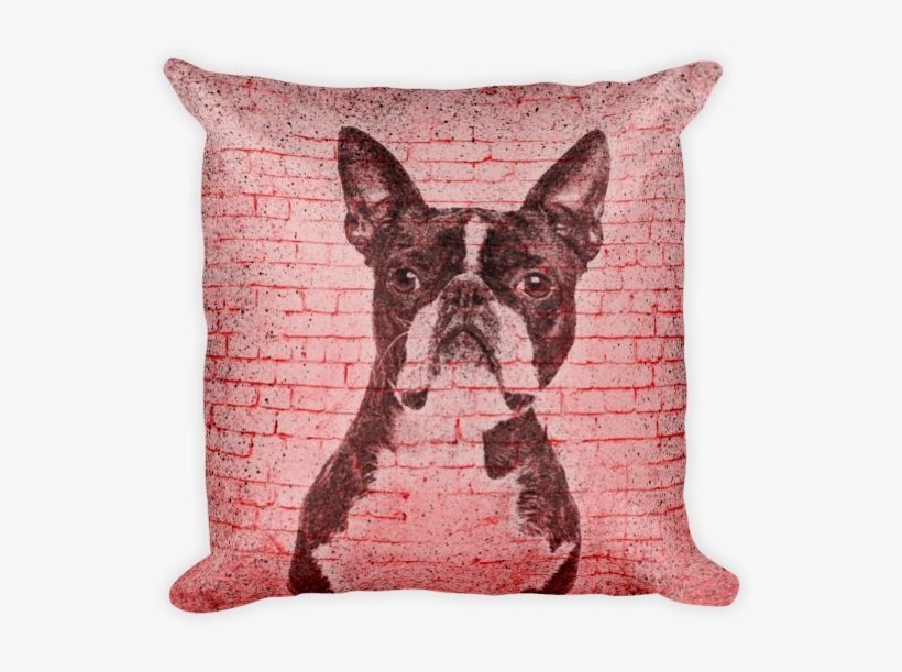 Boston Terrier, transparent png