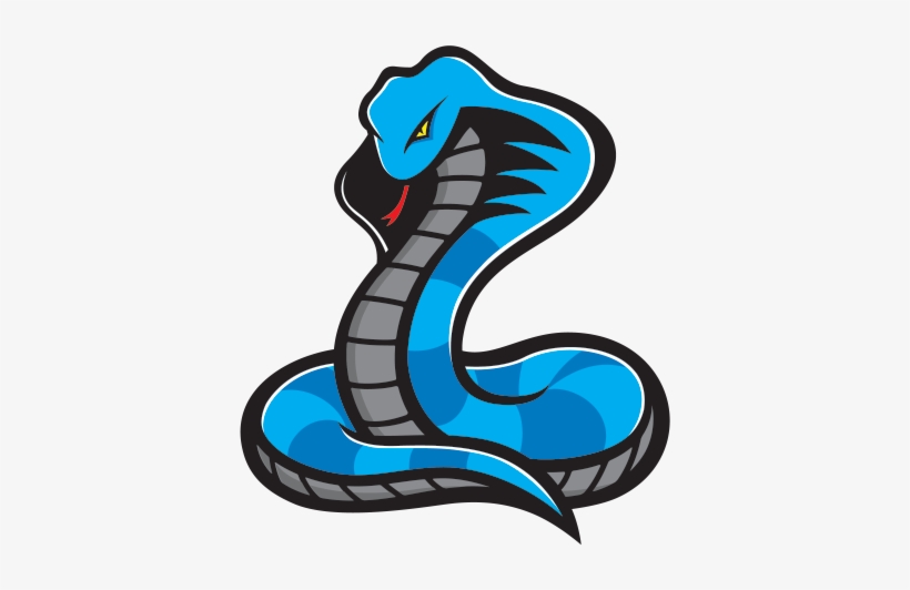 600 X 600 1 - Serpent Mascot Logo Png, transparent png