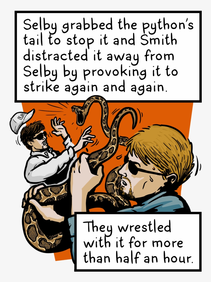Com/the Snakes That Ate Florida E7a52ea72aab - Cartoon, transparent png