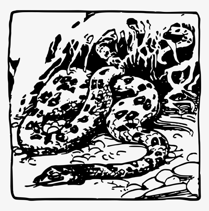Snakes Line Art Computer Icons Drawing Visual Arts - Illustration, transparent png
