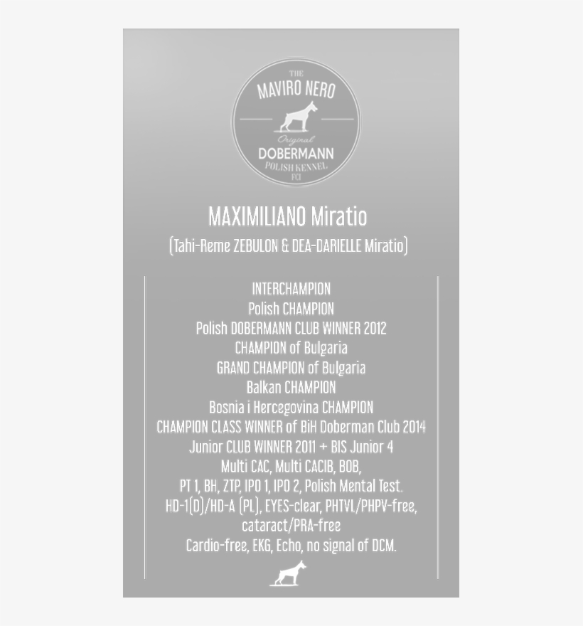 Maximiliano Miratio - Canidae, transparent png