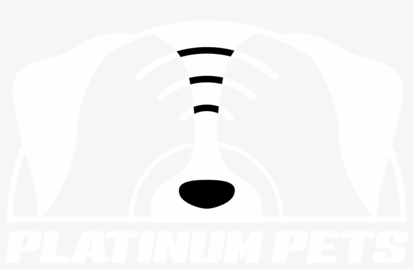 Custom Pet Records And More - Illustration, transparent png