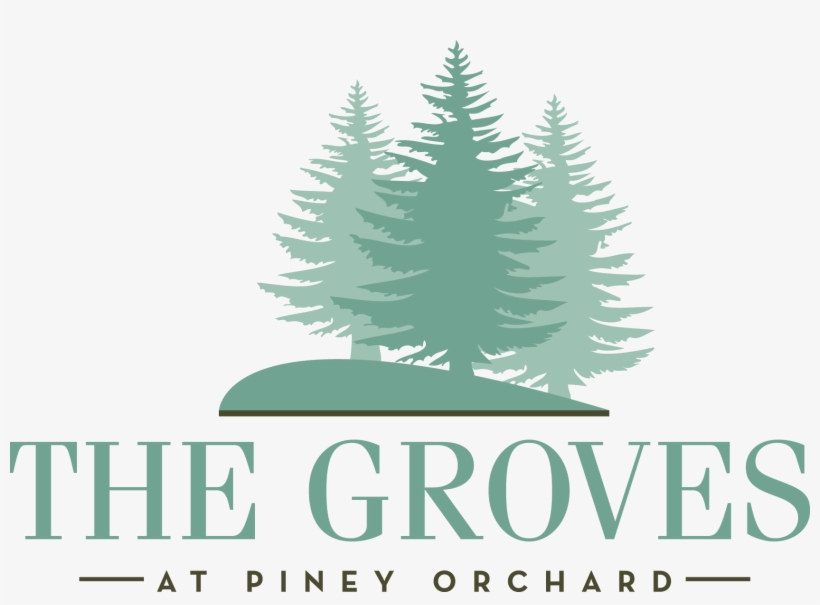 The Groves At Piney Orchard - Newspaper Cuttings On Floods In India, transparent png